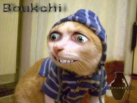 C koi Sa ,,,???!!!!! Mdrrrrrrr